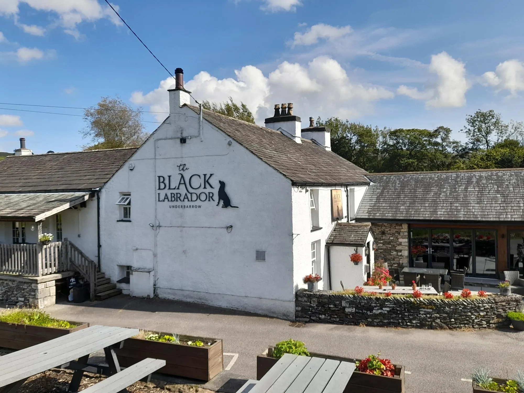 The Black Labrador